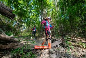 BIB: 
                            <button type="button" onclick="openModal(19391003)" class="btn btn-primary btn-sm float-right btn-popup" data-toggle="modal" data-target=".modal-high-quality">
                        <i class="fas fa-shopping-cart"></i> Add to Cart
                    </button>
                                            <button type="button" onclick="isThisMe(19391003, true)" class="btn btn-success btn-sm float-right btn-popup btn-isme hidden" data-toggle="tooltip" data-placement="bottom" title="นี่คือรูปของคุณใช่ไหม คลิกที่นี่เพื่อเอาเข้าอัลบั้ม">
                        <i class="fas fa-plus"></i> Add to album
                    </button>
                    <button type="button" onclick="isThisMe(19391003, false)" class="btn btn-warning btn-sm float-right btn-popup btn-isnotme hidden">
                        <i class="fas fa-ban"></i> Remove from album
                    </button>